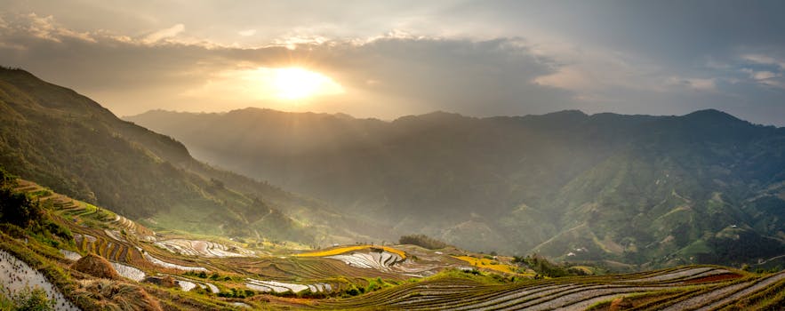 Breathtaking scenery of grassy hills and rice fields under bright sky in sunny summer morning
