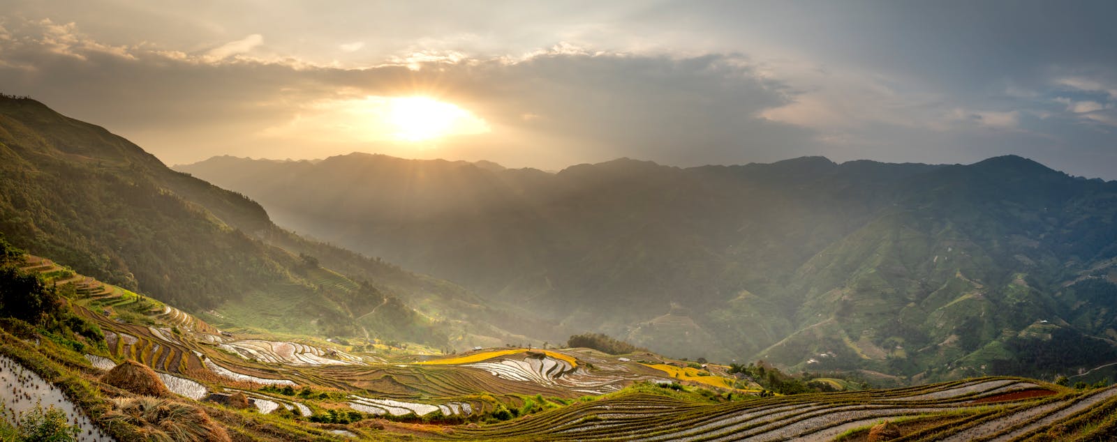 شحوب الوجه كعلامة على نقص الحديد