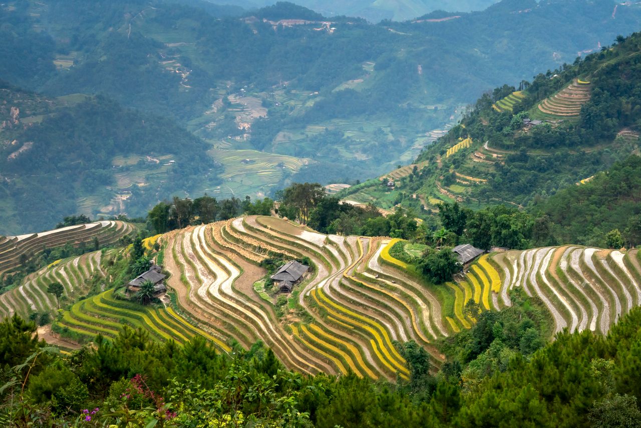 breathtaking scenery of green hills near rice fields and settlement in