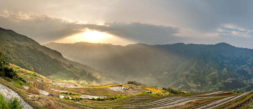 Picturesque panorama of grassy hills and rice fields under bright sky in sunny summer morning