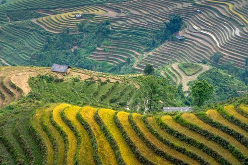 Free Picturesque scenery of green hills near small village and rice plantations in daytime Stock Photo