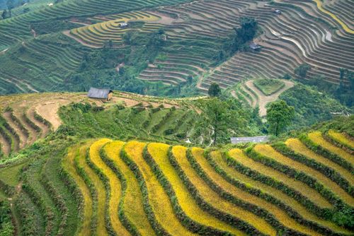 Free From above landscape of grassy green mountains near rice fields and settlement in countryside in daylight Stock Photo