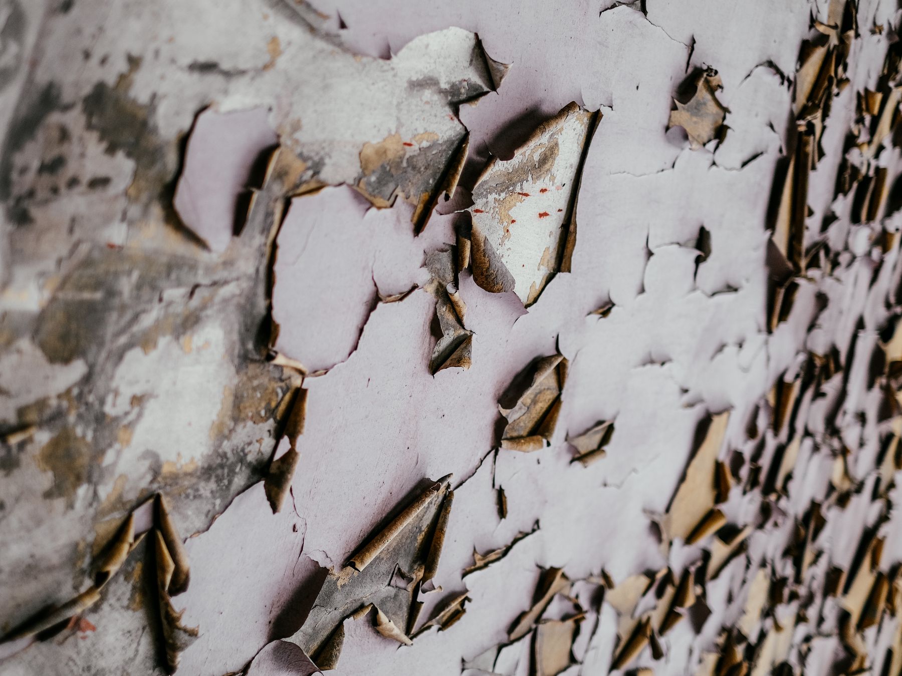 Masonry and Render Painting in Wealdstone — woodwork brushed to a crisp, smooth line