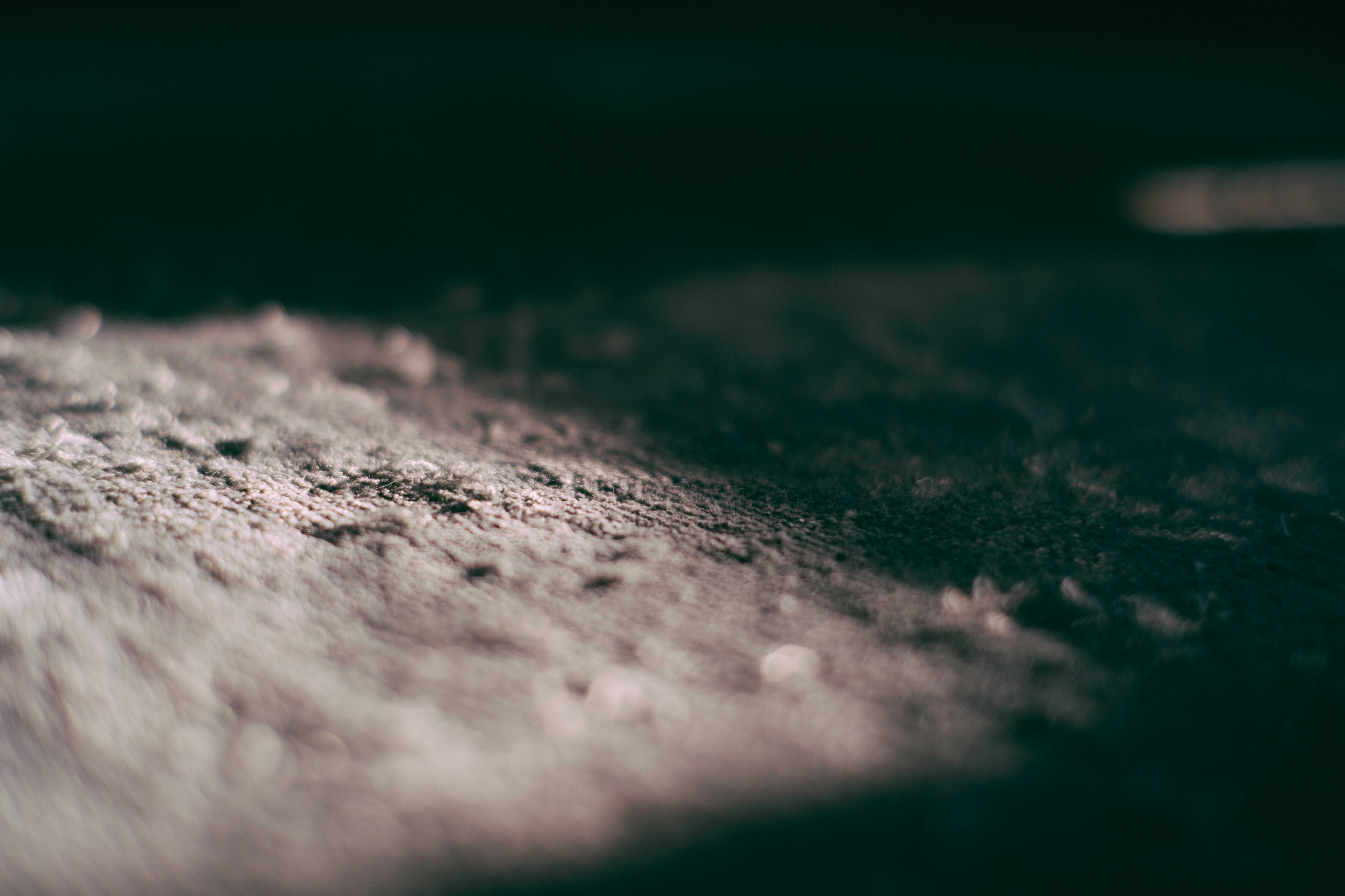 Dust Bunny movie review &amp; film summary — Photo by Francesco Ungaro on Pexels