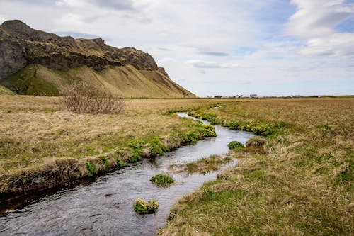 Scenic View of a Stream on a Grass Field