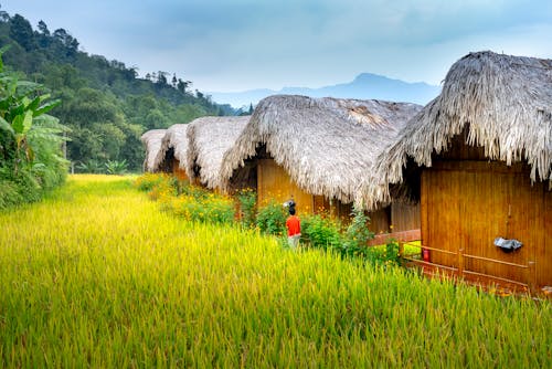 Back view of anonymous kid in small rural village near green grassy hills and trees in daytime under blue sky