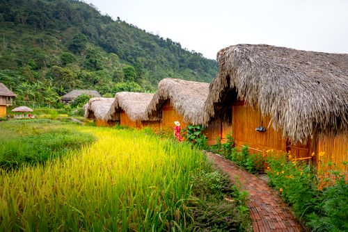 Free Back view of faceless female strolling near houses in hotel near green grassy hills and trees in daylight under bright sky Stock Photo