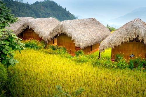 Settlement with bungalows located near mountains