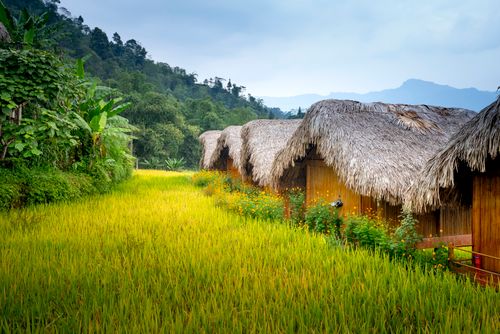 Free Small houses in settlement near grassy mountains and trees with palms in daylight under blue sky Stock Photo