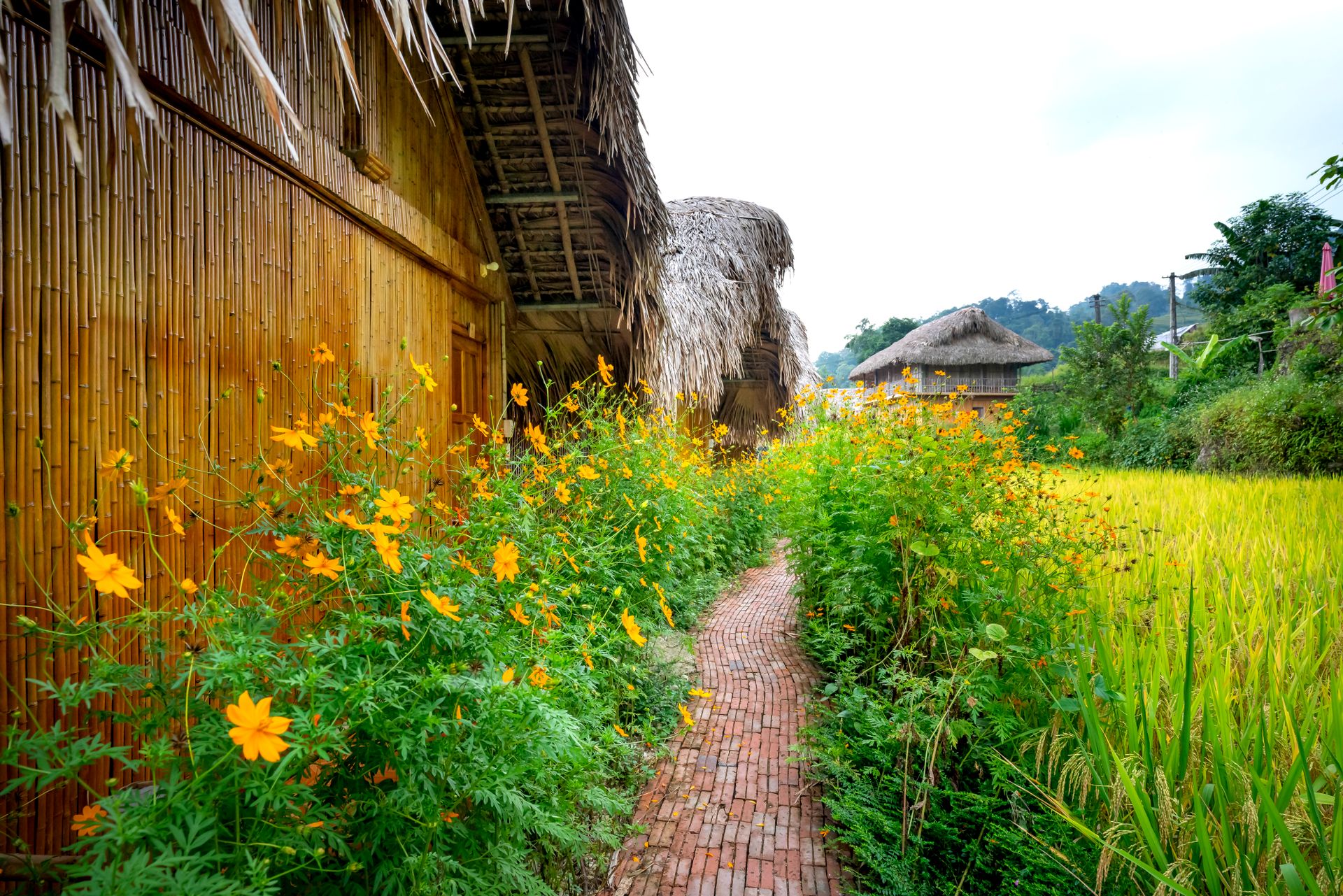 Explore a bamboo hut-lined tropical path with vibrant flowers under a sunny sky.