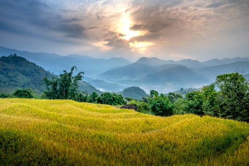 Free Picturesque landscape of grassy green mountains with trees in countryside under cloudy sky in summer day Stock Photo