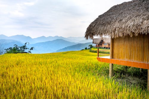 Small houses near green mountains and grass in settlement under bright sky in daylight