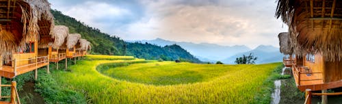 Small village with houses near trees and hills on green grass under bright sky in daytime