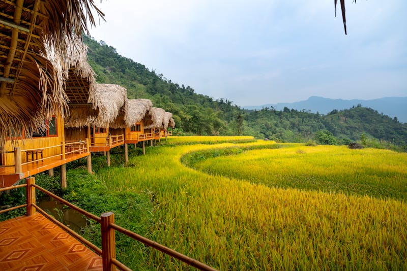 Golfer swing review on phone