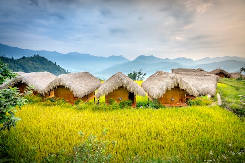 Small village with houses on green grass near hills and trees under bright sky in countryside in daytime