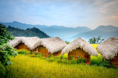 Small houses in settlement near trees with palms and grassy mountains in daylight under blue sky