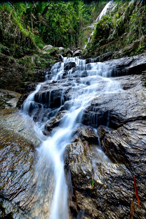 Free Waterfall flowing through rocks near plants Stock Photo