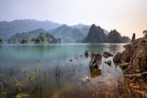 Picturesque view of pond near highlands in nature