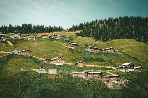 Free Brown Wooden Houses on Green Grass Mountain Stock Photo