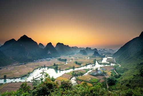 Landscape of green grassy hills near trees and bushes near river with plantation in summer at sundown