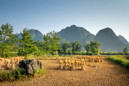 Field with sheaves near trees and mountains