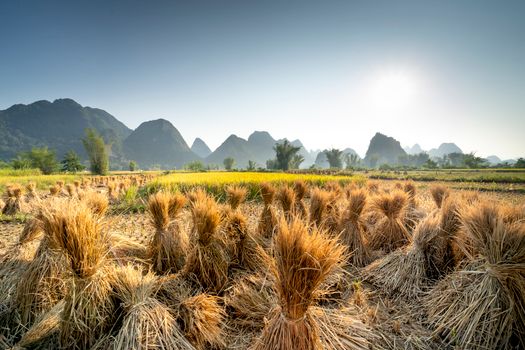 Landscape of valley with sheaves near green grass and plants near hills on background under cloudless sky in summer sunny day