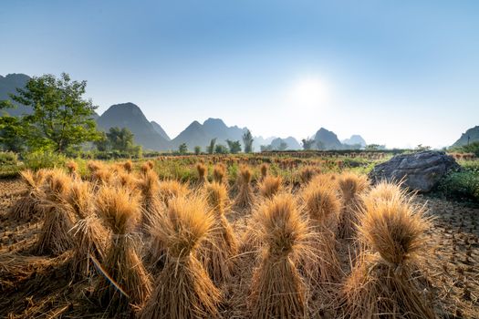 Landscape of valley with sheaves near boulder and green grass near trees and hills on background under blue cloudless sky in summer sunny day