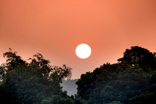 Free Sundown sky over tropical forest Stock Photo