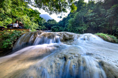 Majestic waterfall flowing in rainforest