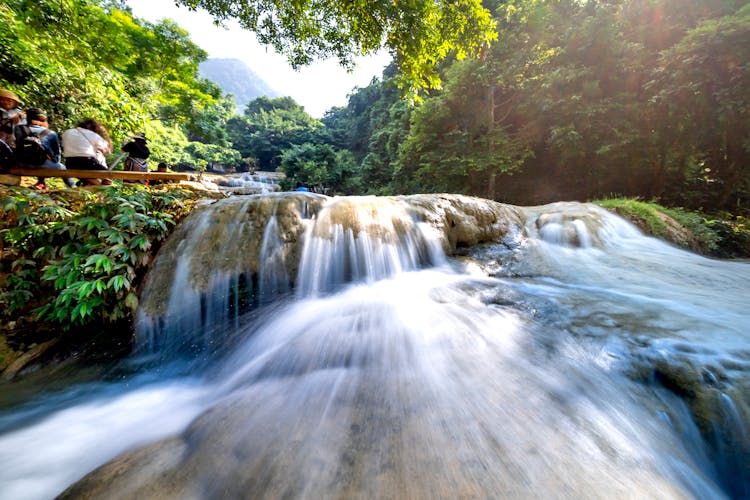 Fast Cascade Streaming Among Jungle