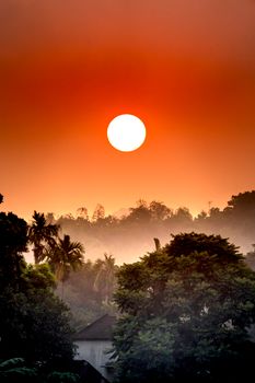 Scenery of bright sun shining on sunset cloudless sky over dense tropical forest in countryside with house surrounded by green plants