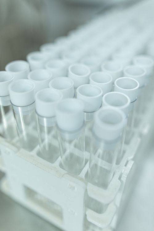 Free A close-up view of empty glass test tubes neatly arranged in a rack, ideal for scientific use. Stock Photo
