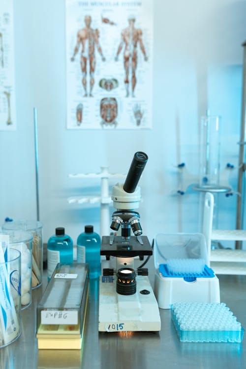 Laboratory Counter Top Full of Apparatuses