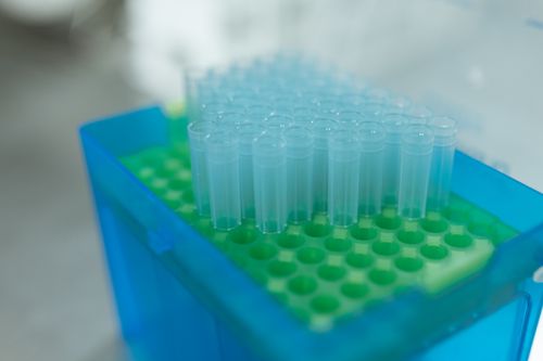 Free Close-up of empty laboratory test tubes in a rack, suitable for medical and scientific purposes. Stock Photo