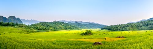 Free Panorama of grassy terrain and rice plantation with tracks located in rural terrain against mountain range and blue sky in nature Stock Photo