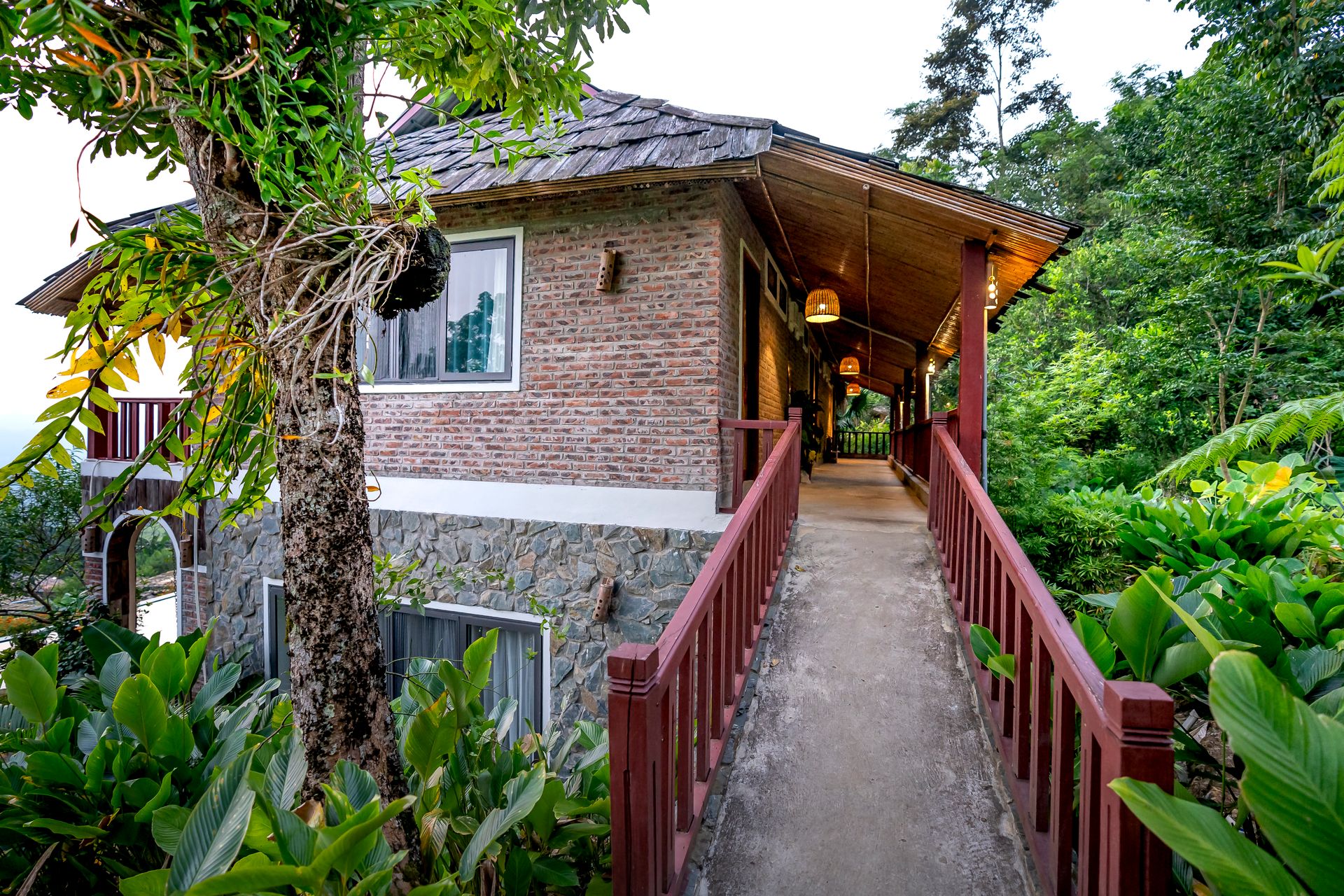 Exterior of house with brick wall and terrace with wooden roof and fence located in tropical resort amidst exotic plants