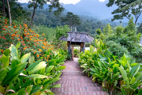 Free Stone stairs surrounded by lush tropical flowers and leading down to wooden construction in tropical country against dense trees in jungle Stock Photo