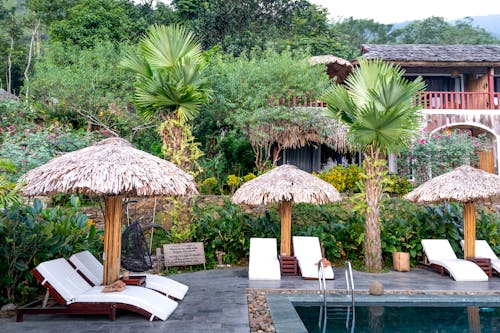 White loungers and thatched parasols placed near swimming pool on tropical terrace with exotic green plants and building in resort