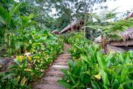 Stairs to hut among lush greenery