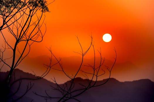 Silhouettes of thin trees and mountain range against bright orange with red sunset sky