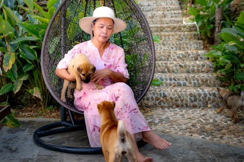 Woman resting in armchair with dogs on terrace