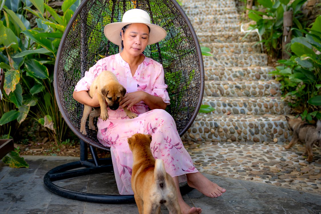 Woman resting in armchair with dogs on terrace