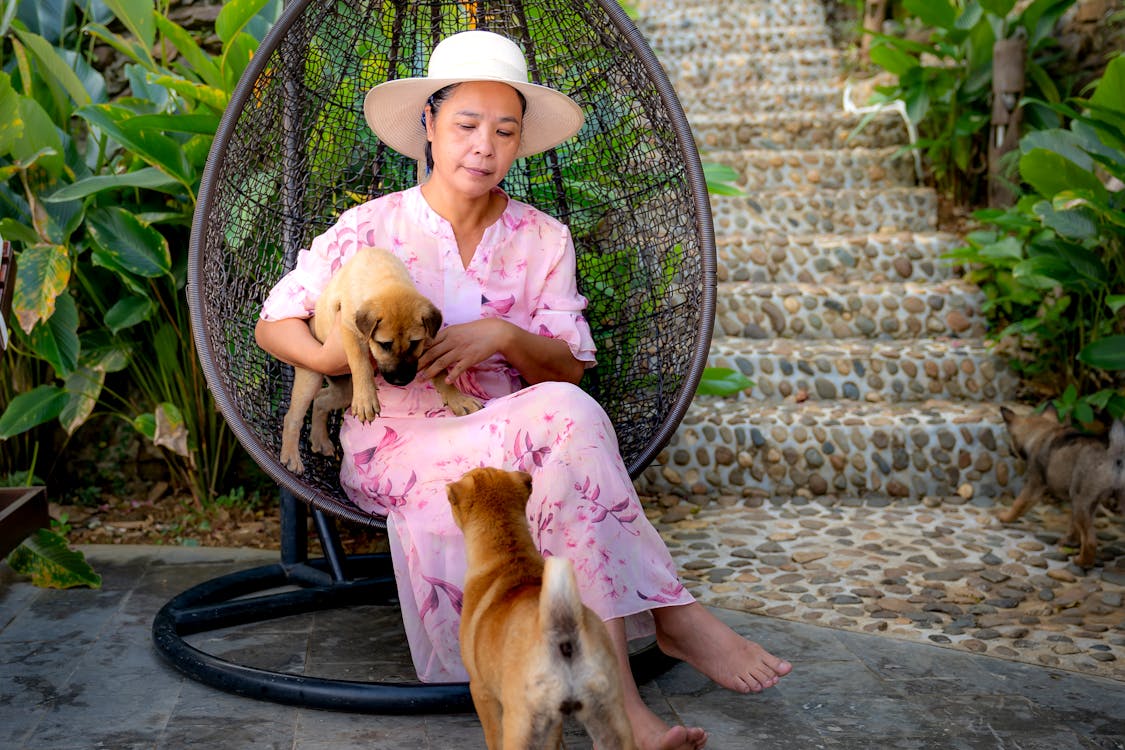 Kostenloses Stock Foto zu asiatische frau, aufhängen, ausruhen