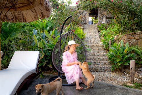 Middle aged Asian female in casual dress and summer hat sitting in hanging swing chair on tropical patio and playing with dog