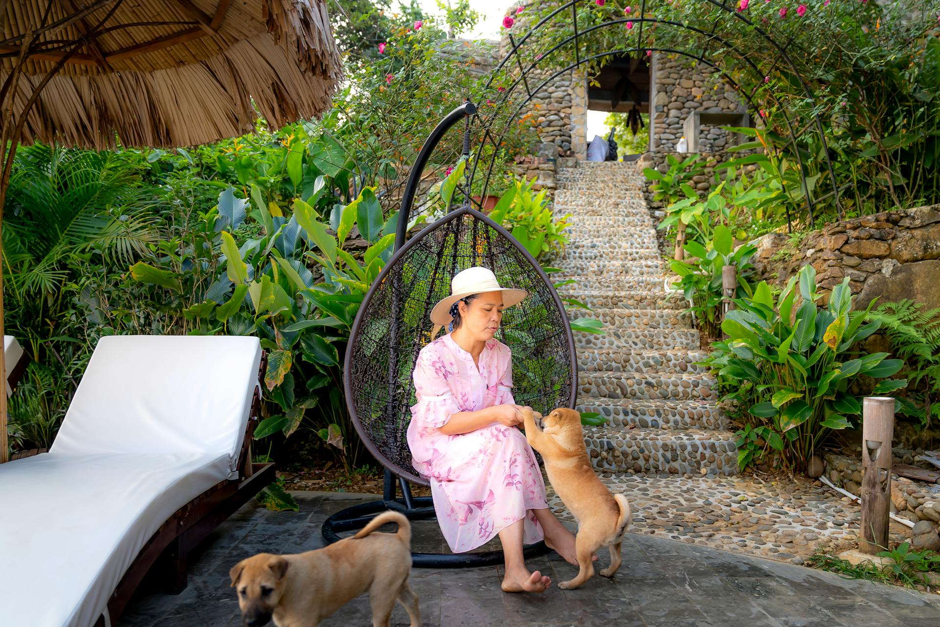 Middle aged Asian female in casual dress and summer hat sitting in hanging swing chair on tropical patio and playing with dog