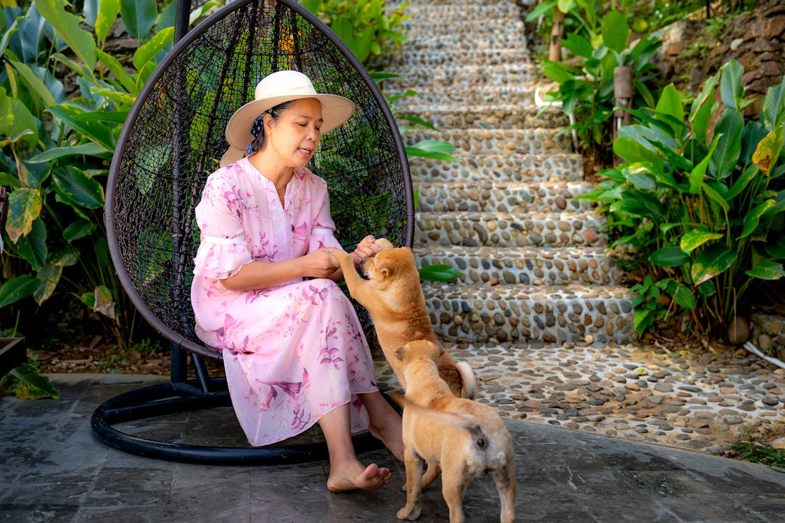 Woman playing with small dogs sitting on outdoor chair in tropical terrain