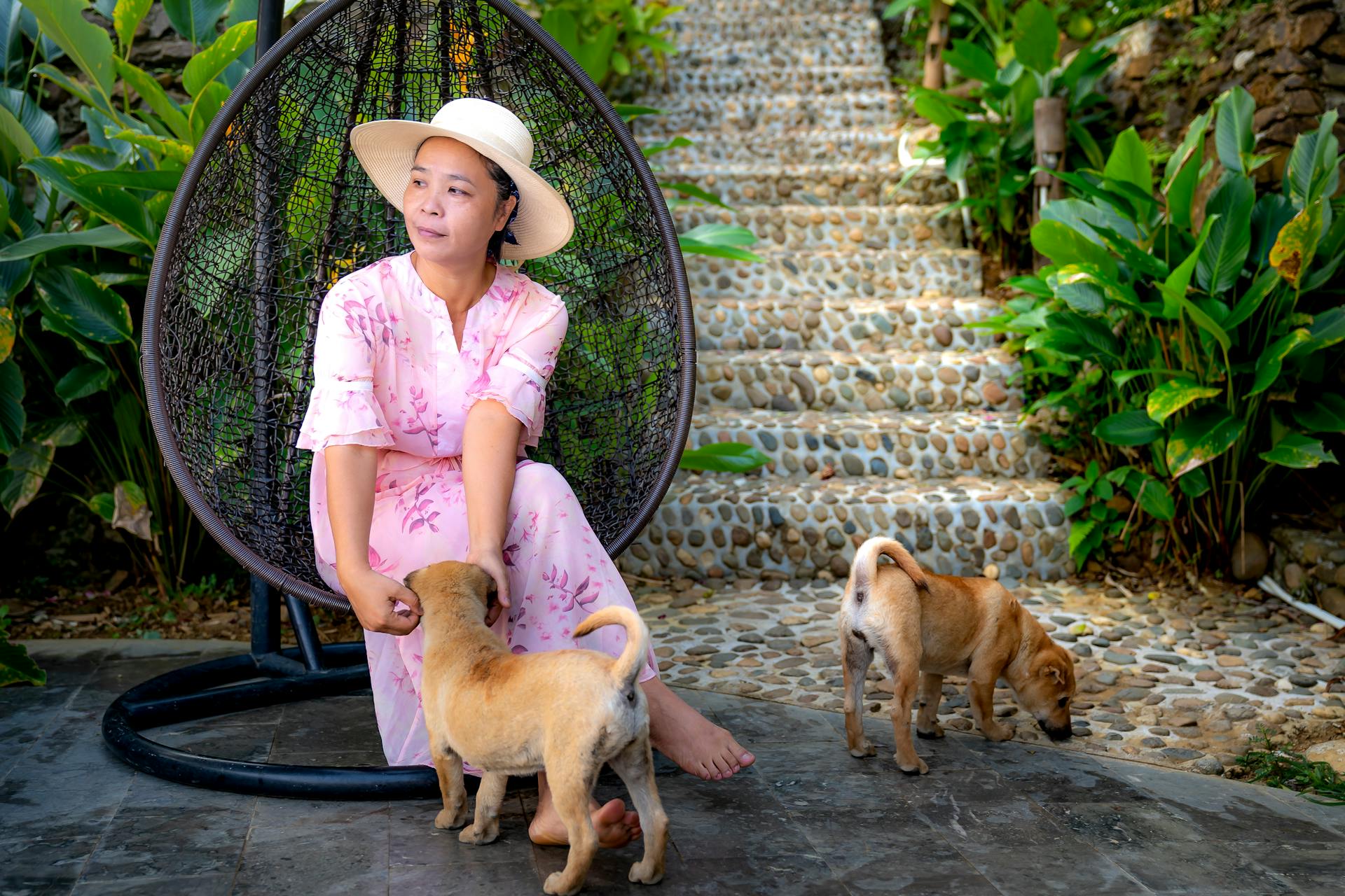 Middle aged Asian woman stroking little dog while resting on hanging swing chair and looking away on terrace in tropical place