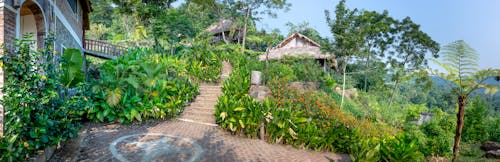 Green tropical garden beside cottage