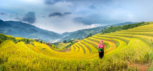 Woman standing in agricultural field