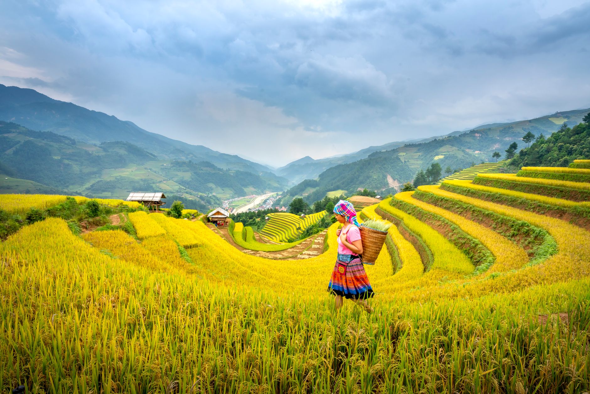 Hướng dẫn chi tiết 6 điều kiện thành lập khu nông nghiệp ứng dụng công nghệ cao từ 1/7/2026 Hướng dẫn chi tiết 6 điều kiện thành lập khu nông nghiệp ứng dụng công nghệ cao từ 1/7/2026